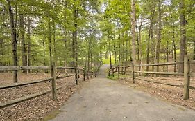 Creekside Berkeley Springs Cabin On 35 Acres!